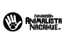 clientes Straliak